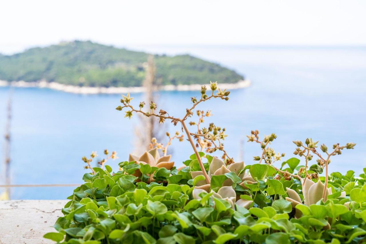 Apartment Bakus Dubrovnik Kültér fotó
